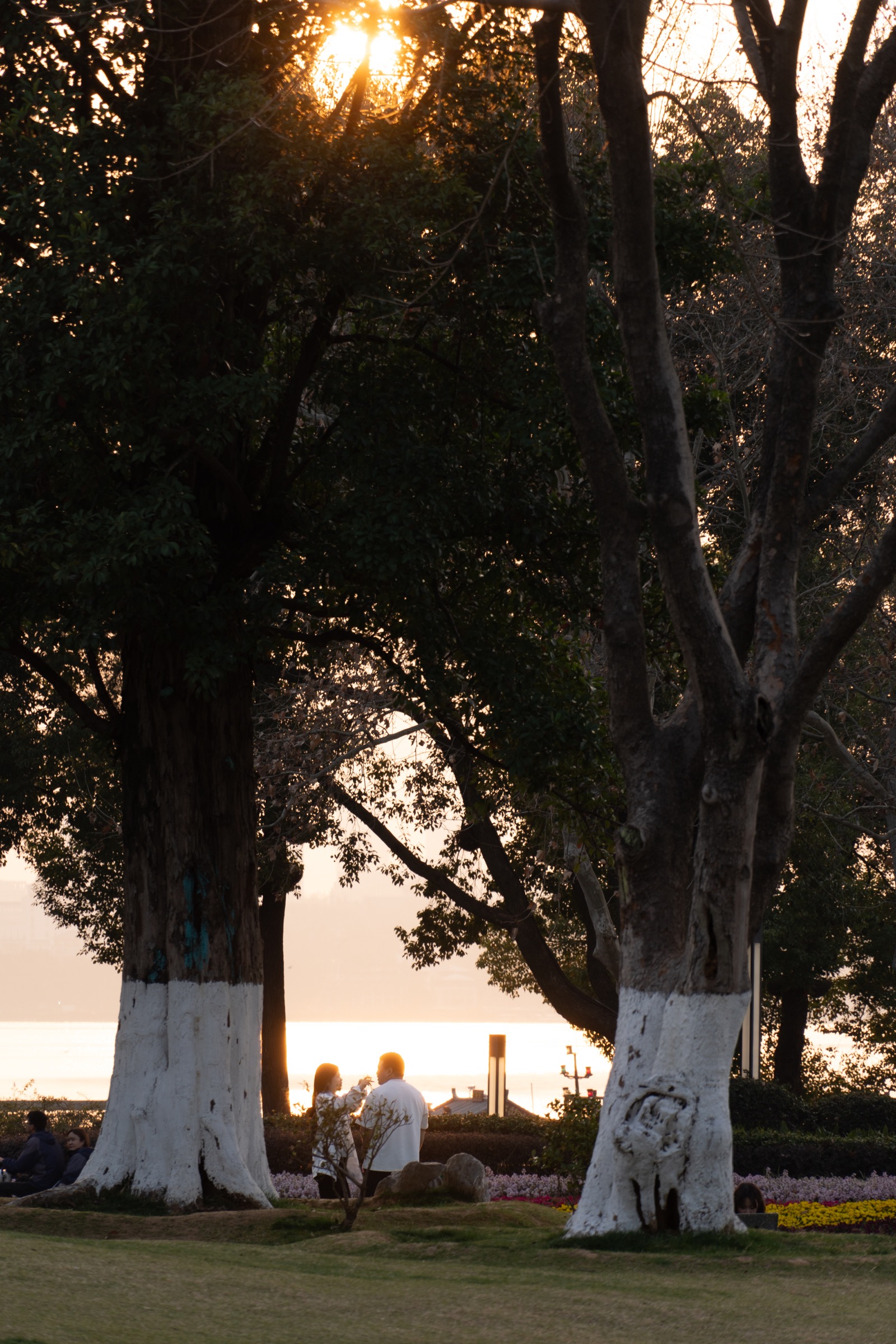 Late sunlight filtering through tall trees, with a few figures visible near the water.