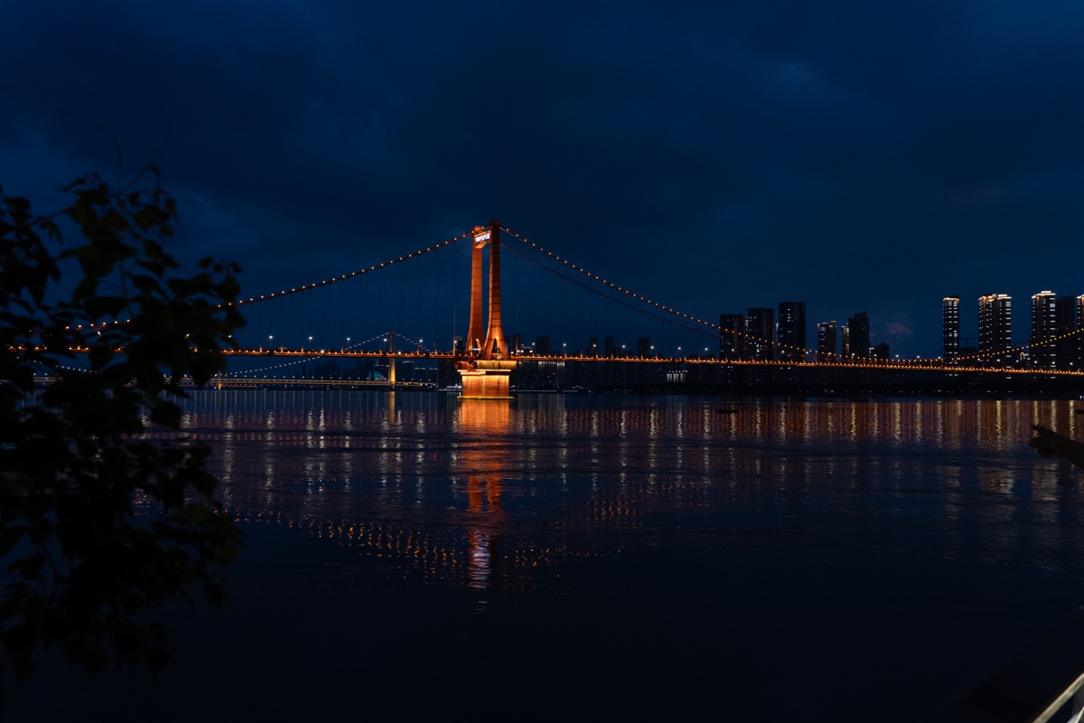 The lit Yingwuzhou Yangtze River Bridge at blue hour, with dark leaves in the foreground and city lights reflected on the river.