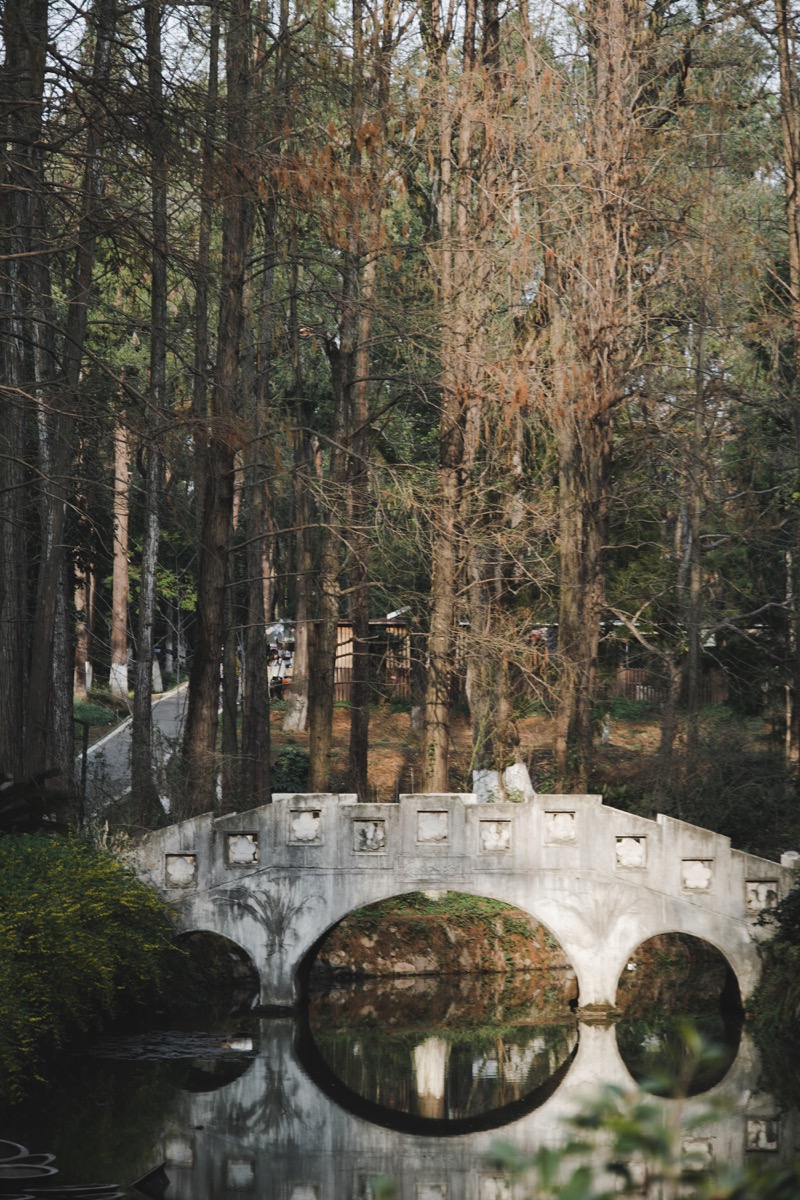 A white stone bridge reflected in still water with tall trees in the background.